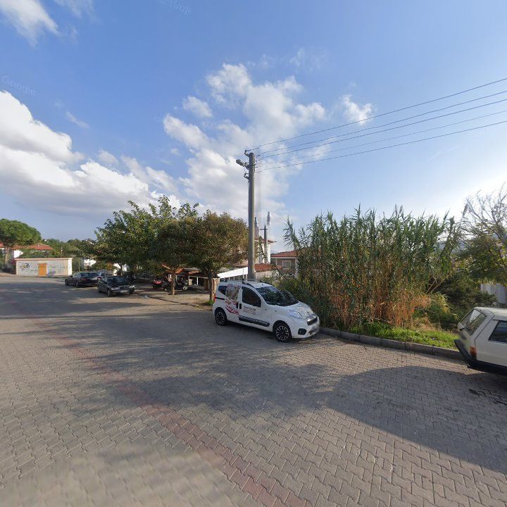 Fotoğraf 8