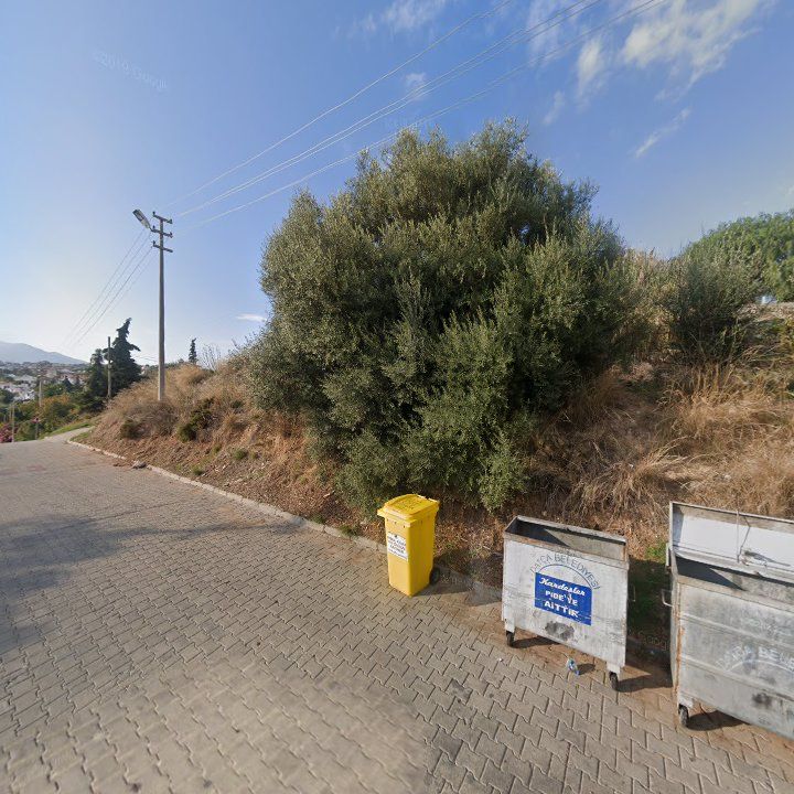 Fotoğraf 10