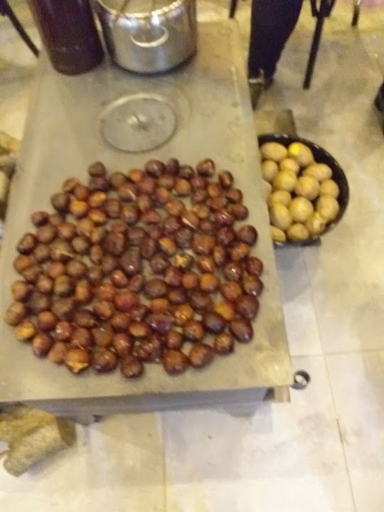 Fotoğraf 41