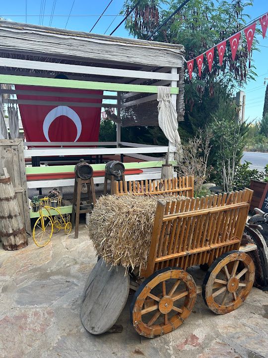 Fotoğraf 48