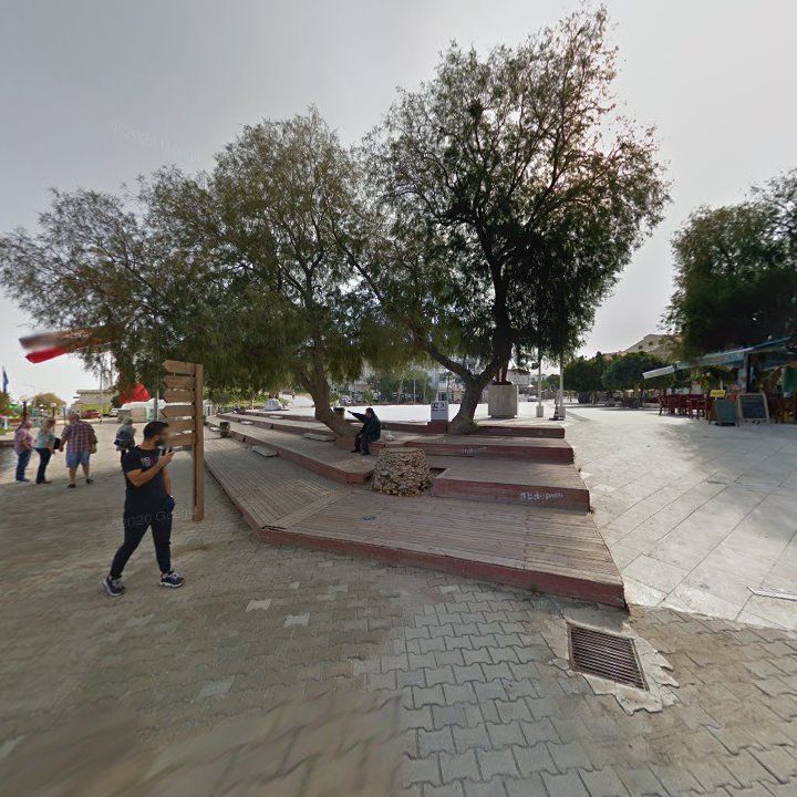 Fotoğraf 11