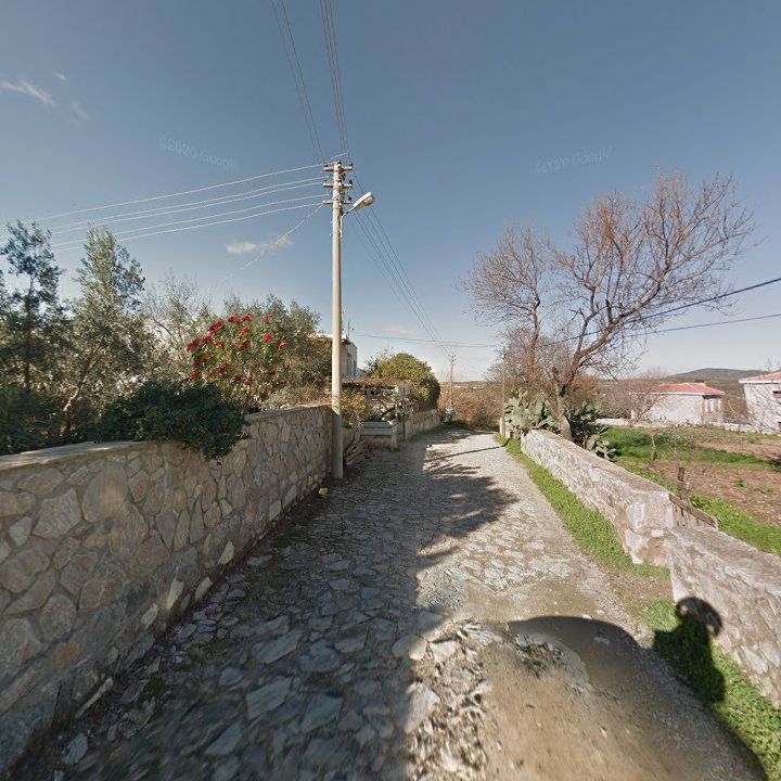 Fotoğraf 10
