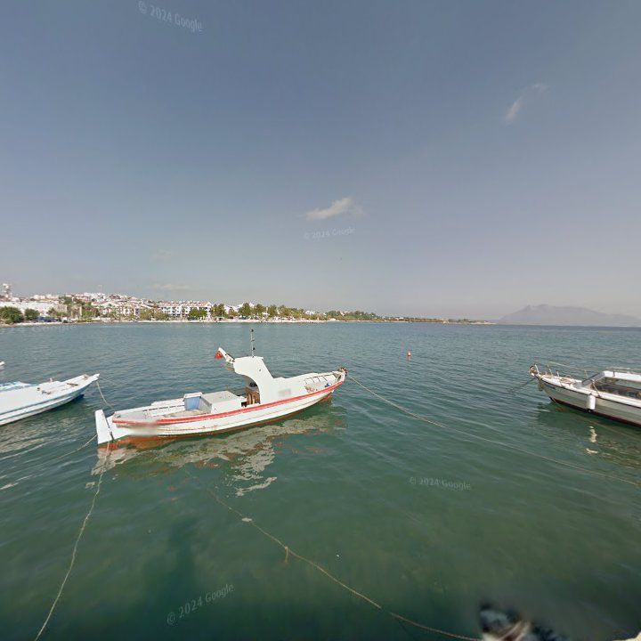 Fotoğraf 11