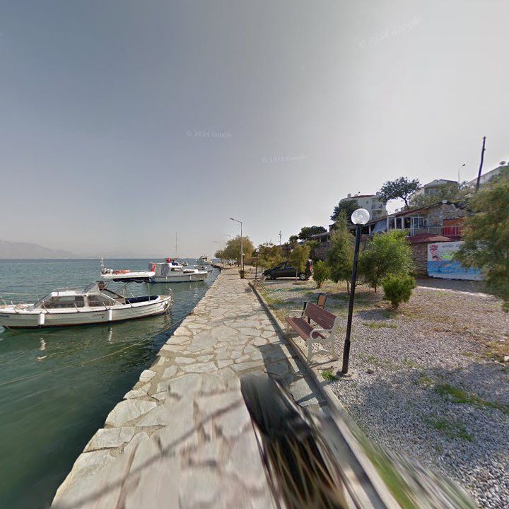 Fotoğraf 8