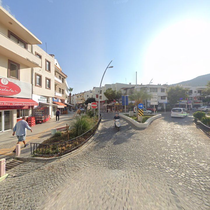 Fotoğraf 7