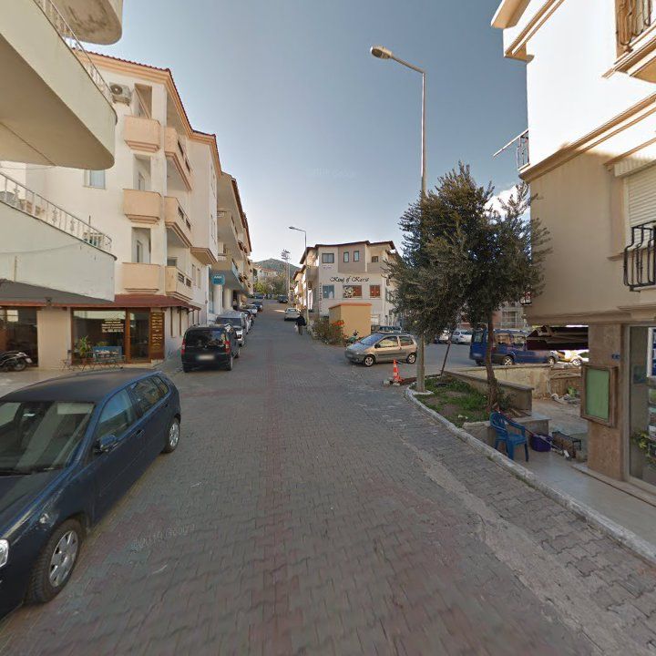 Fotoğraf 13