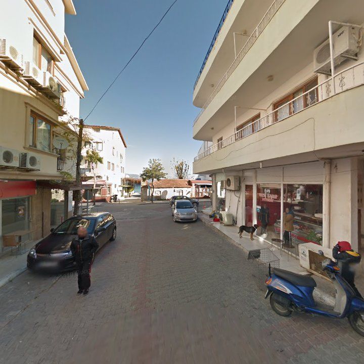 Fotoğraf 11