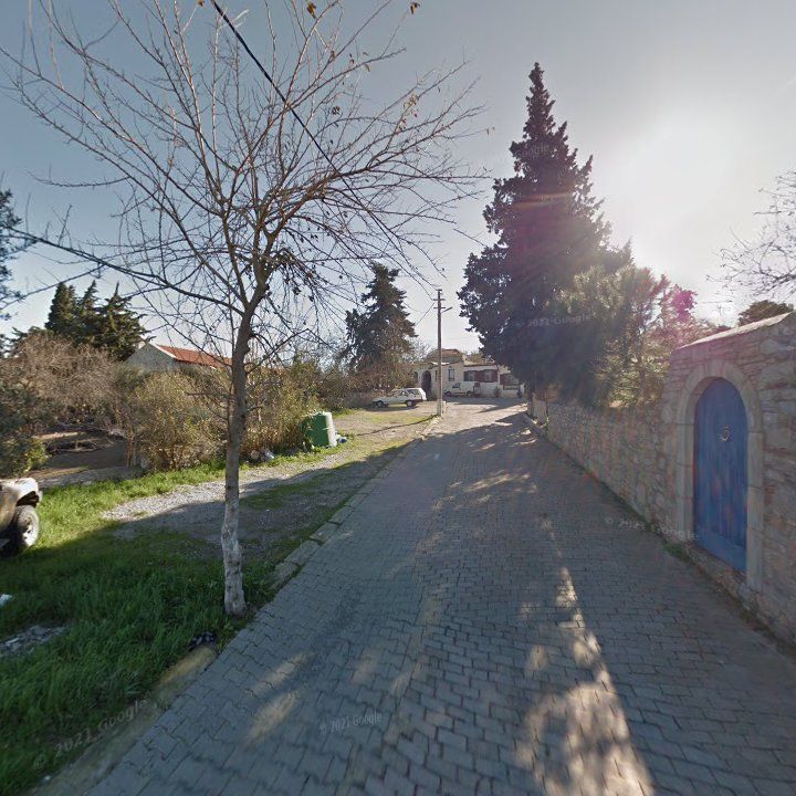 Fotoğraf 6
