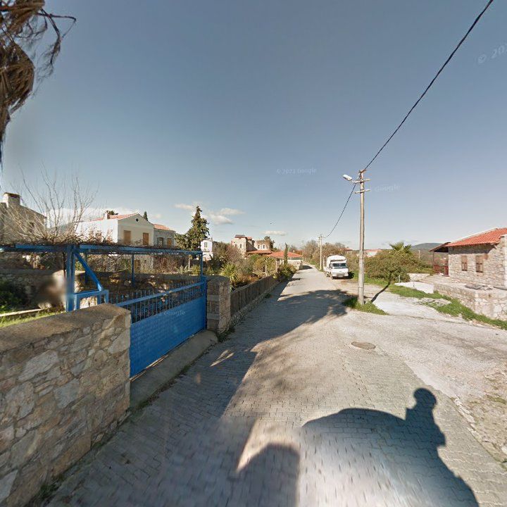 Fotoğraf 8