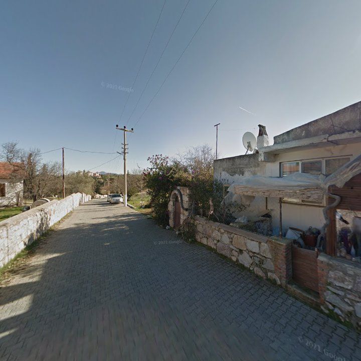 Fotoğraf 10