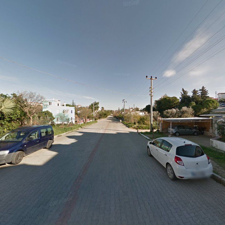 Fotoğraf 14