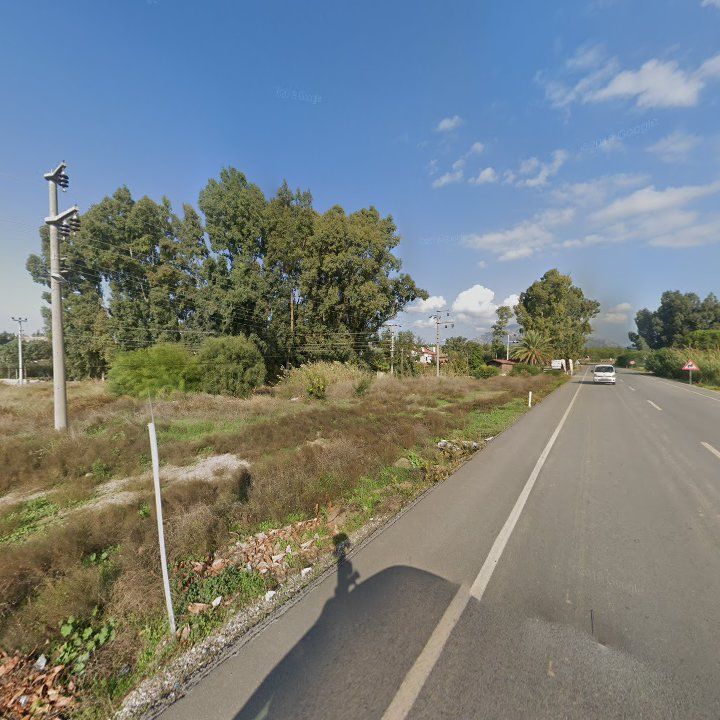Fotoğraf 11