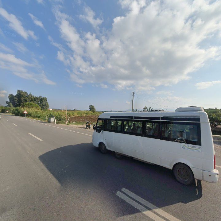 Fotoğraf 12