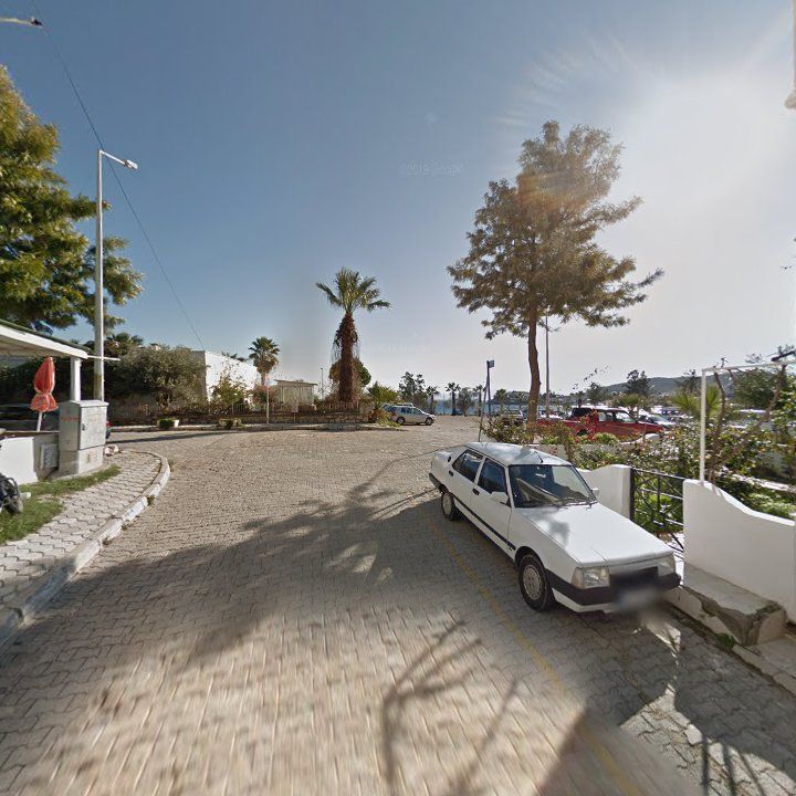 Fotoğraf 9