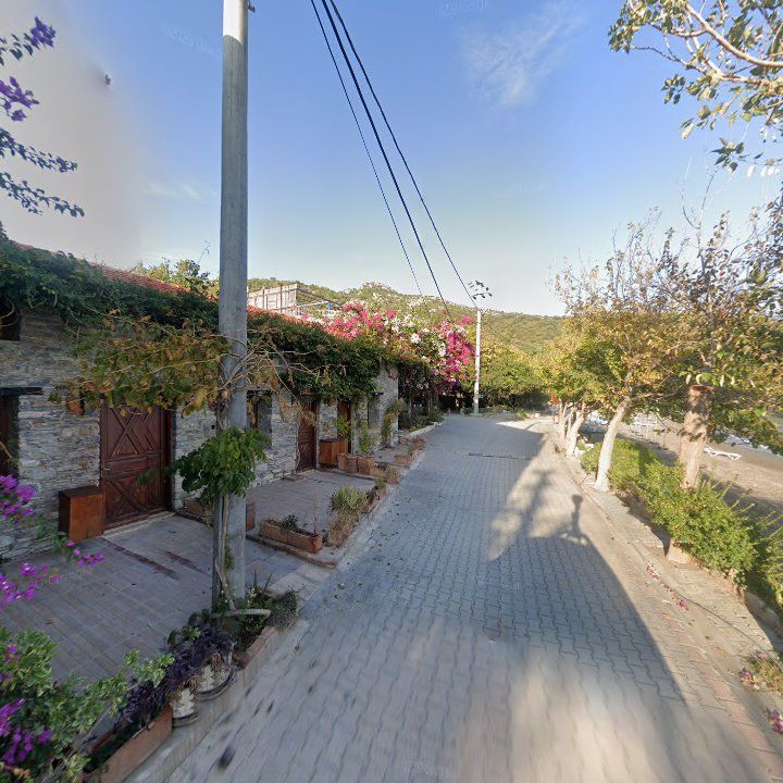 Fotoğraf 8