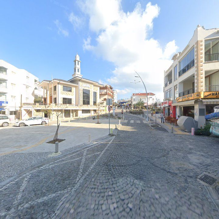 Fotoğraf 10