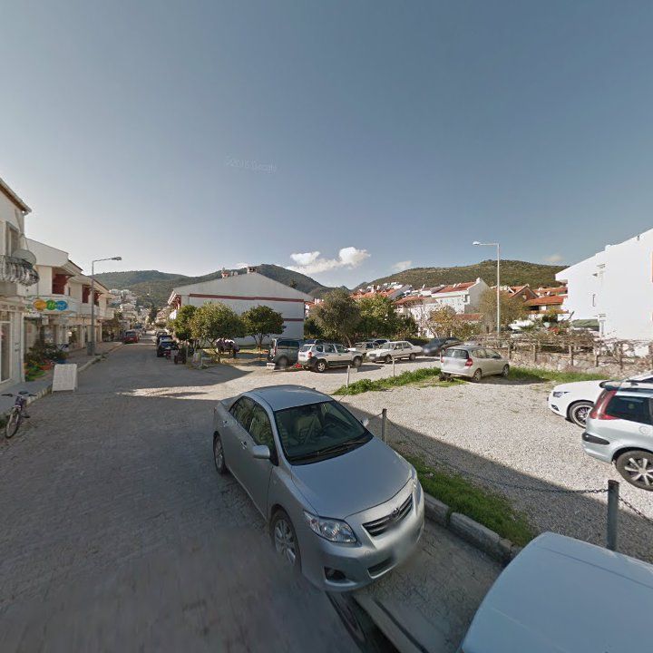 Fotoğraf 8