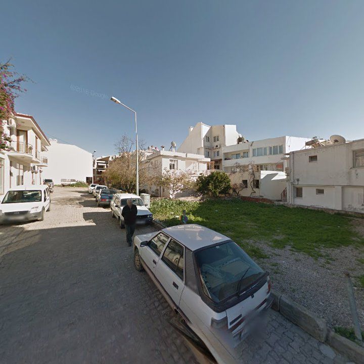Fotoğraf 10