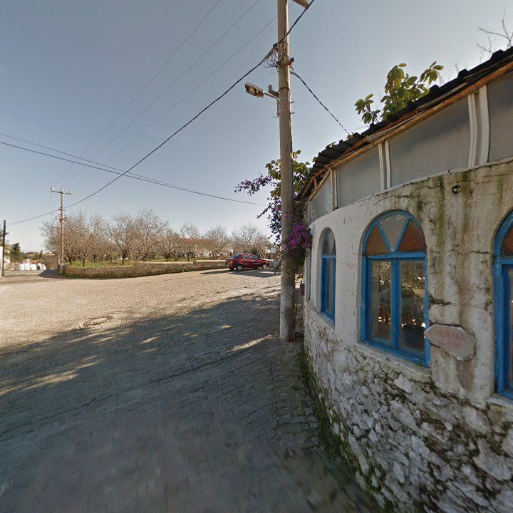 Fotoğraf 11