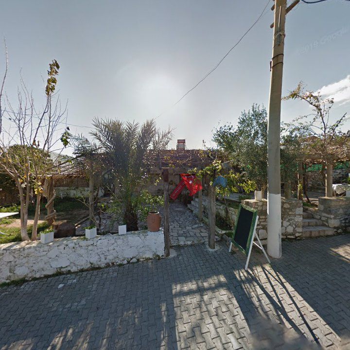 Fotoğraf 10