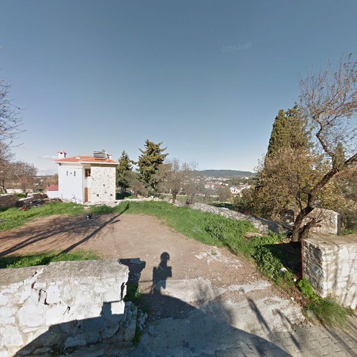 Fotoğraf 8