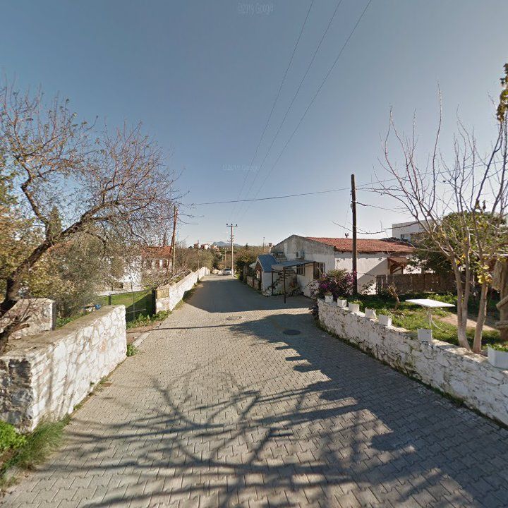 Fotoğraf 9