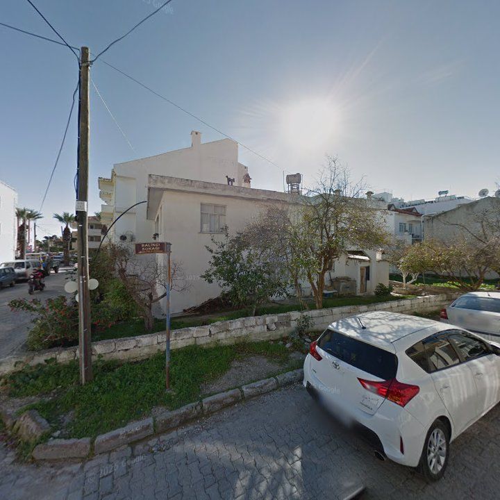 Fotoğraf 7