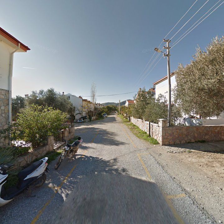 Fotoğraf 8