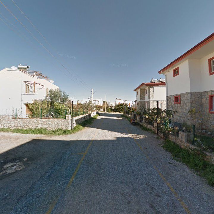 Fotoğraf 10