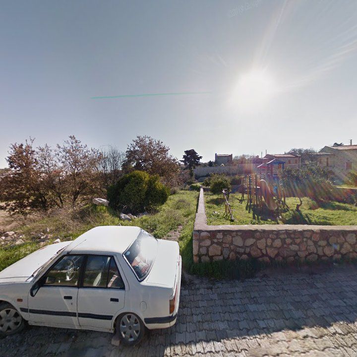 Fotoğraf 7