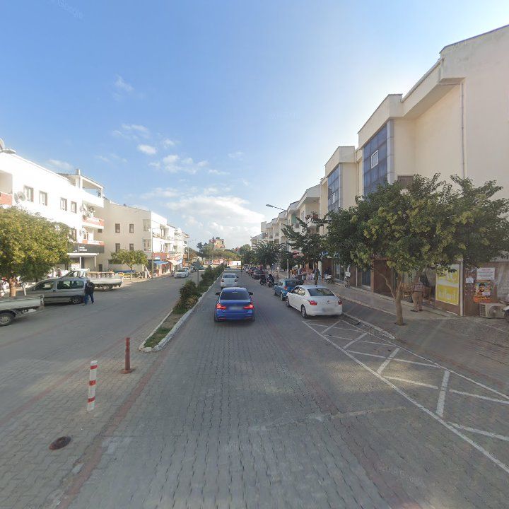 Fotoğraf 10