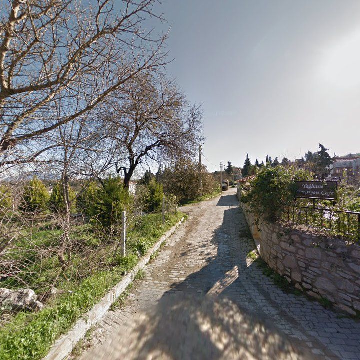 Fotoğraf 10