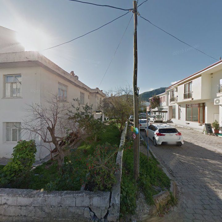 Fotoğraf 8