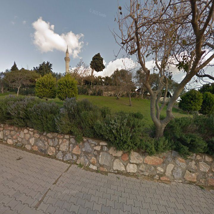 Fotoğraf 6