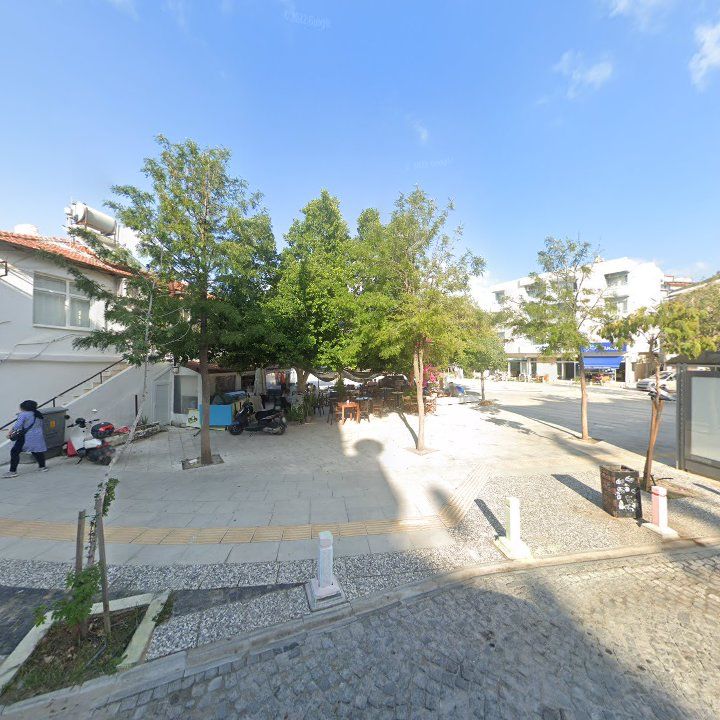 Fotoğraf 8