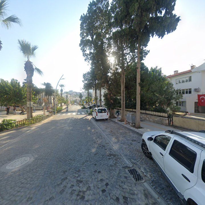 Fotoğraf 10