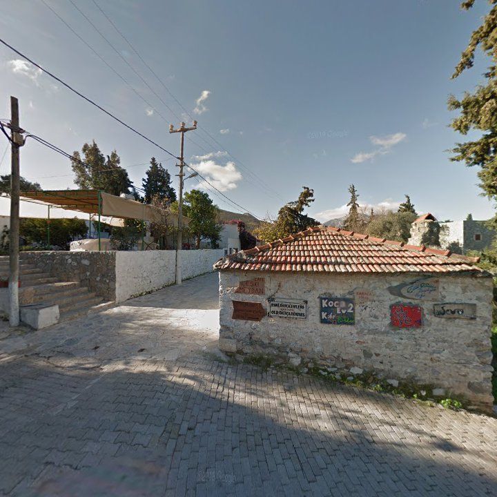 Fotoğraf 7