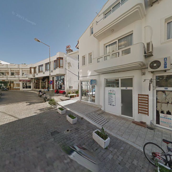 Fotoğraf 10