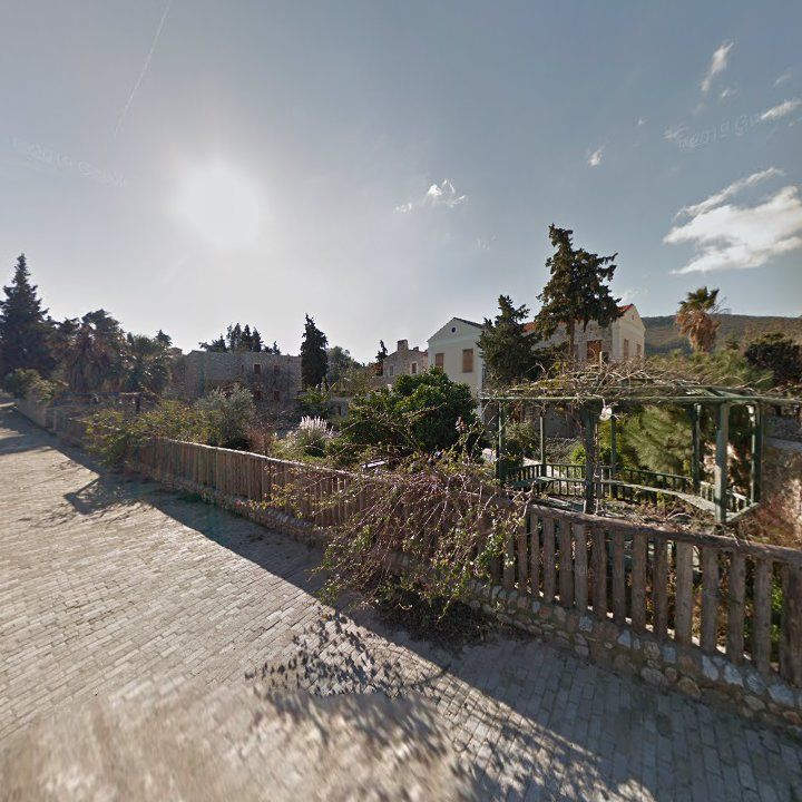 Fotoğraf 12