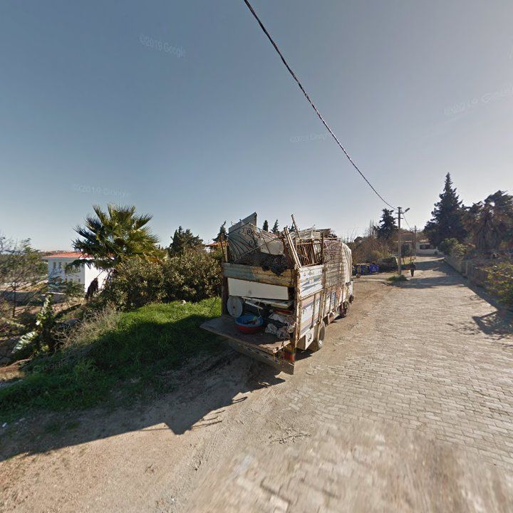 Fotoğraf 11