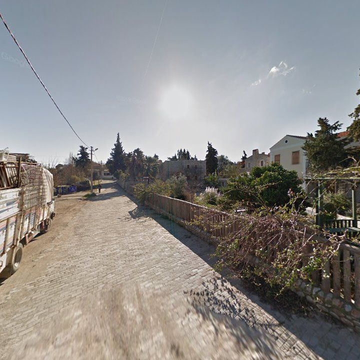 Fotoğraf 10