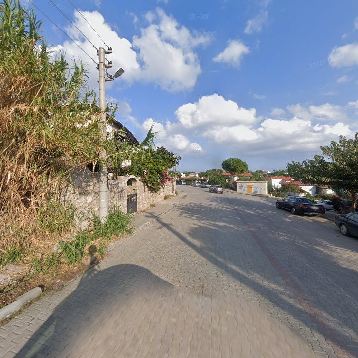 Fotoğraf 10