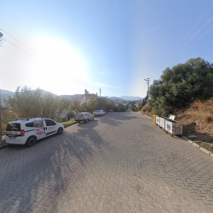 Fotoğraf 8