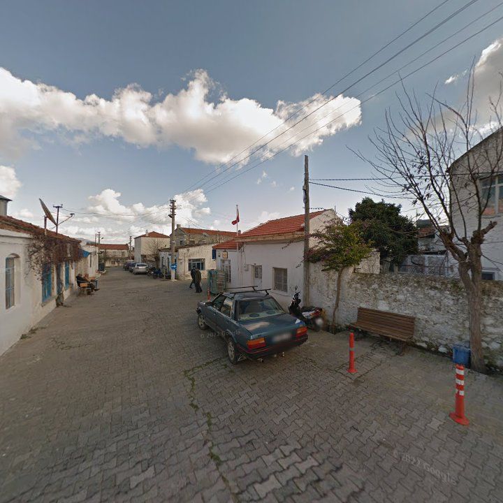 Fotoğraf 7