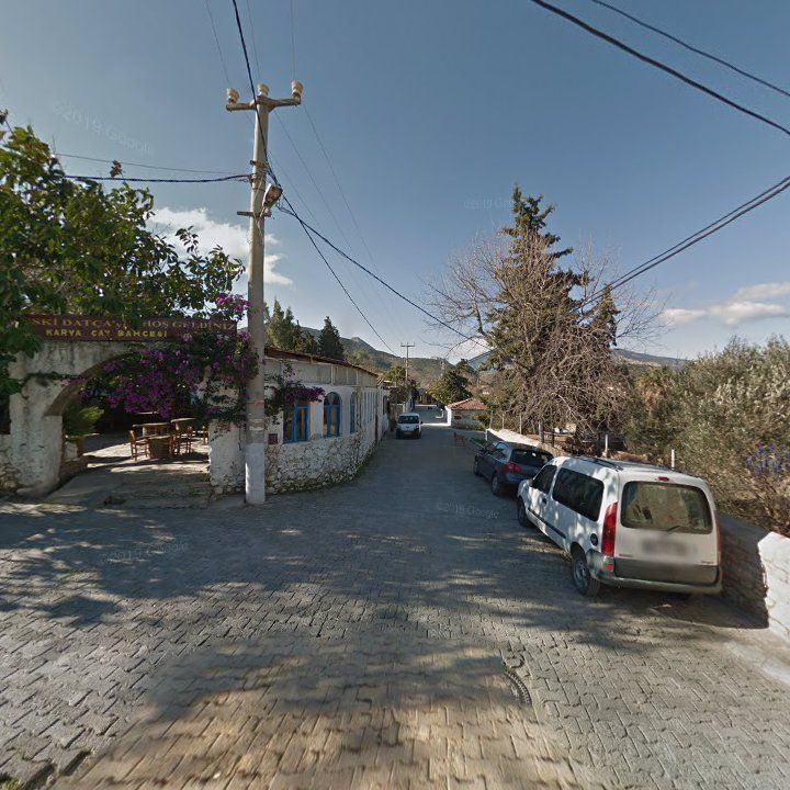 Fotoğraf 7