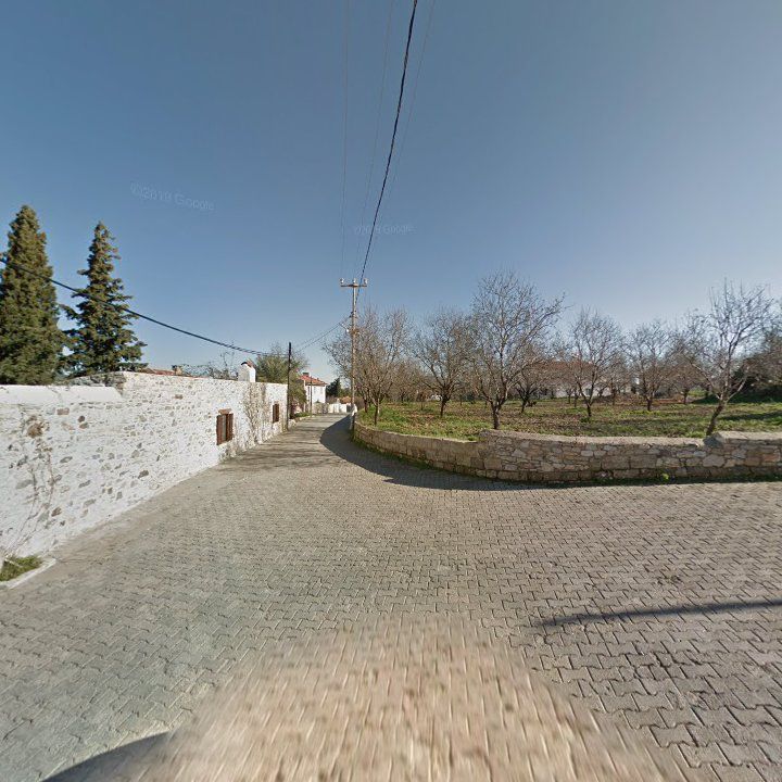 Fotoğraf 11