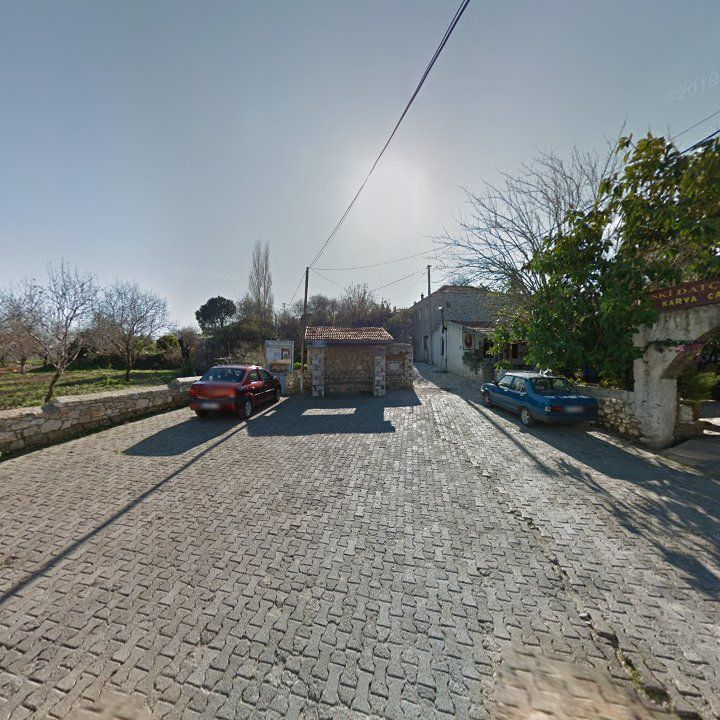 Fotoğraf 8