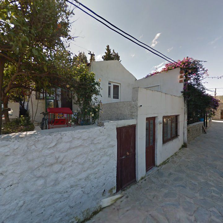 Fotoğraf 10