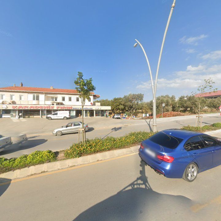 Fotoğraf 7