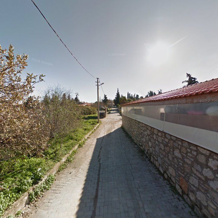 Fotoğraf 11